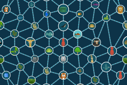 web-of-life.png